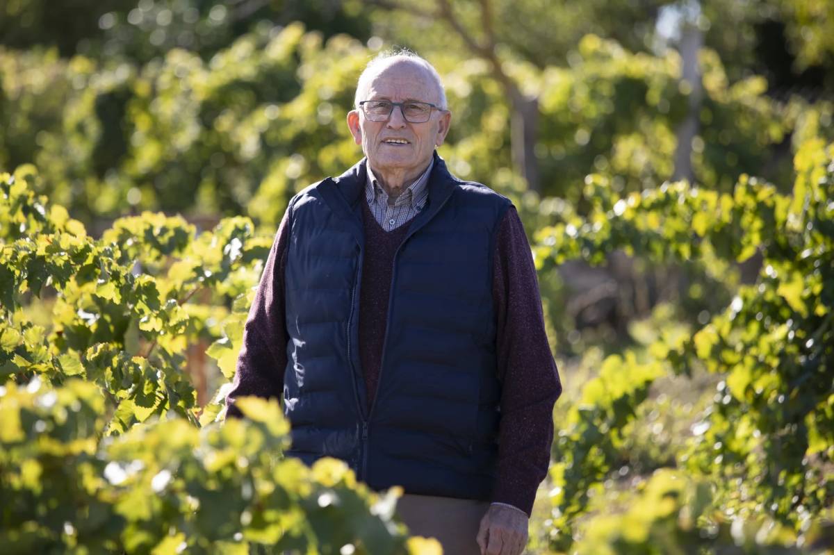 Rafel Jornet: «Tot això ho vaig fer jo, i mira com està: ja és bosc»