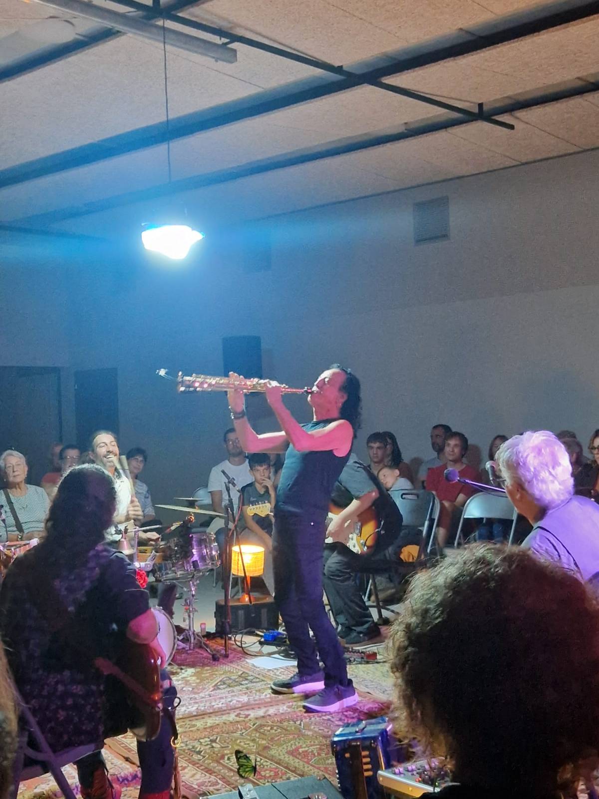 Elèctrica Dharma a Pinell de Solsonès - 