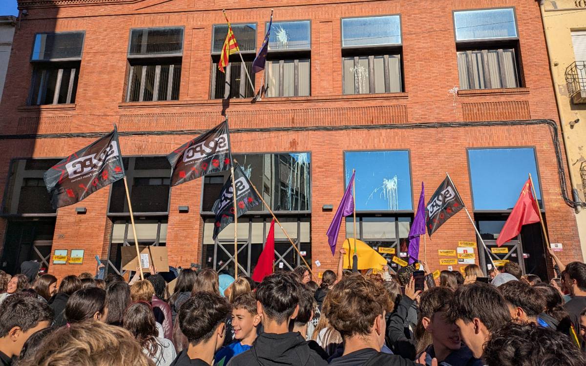 Els alumnes concentrats davant dels Serveis Territorials d`Educació