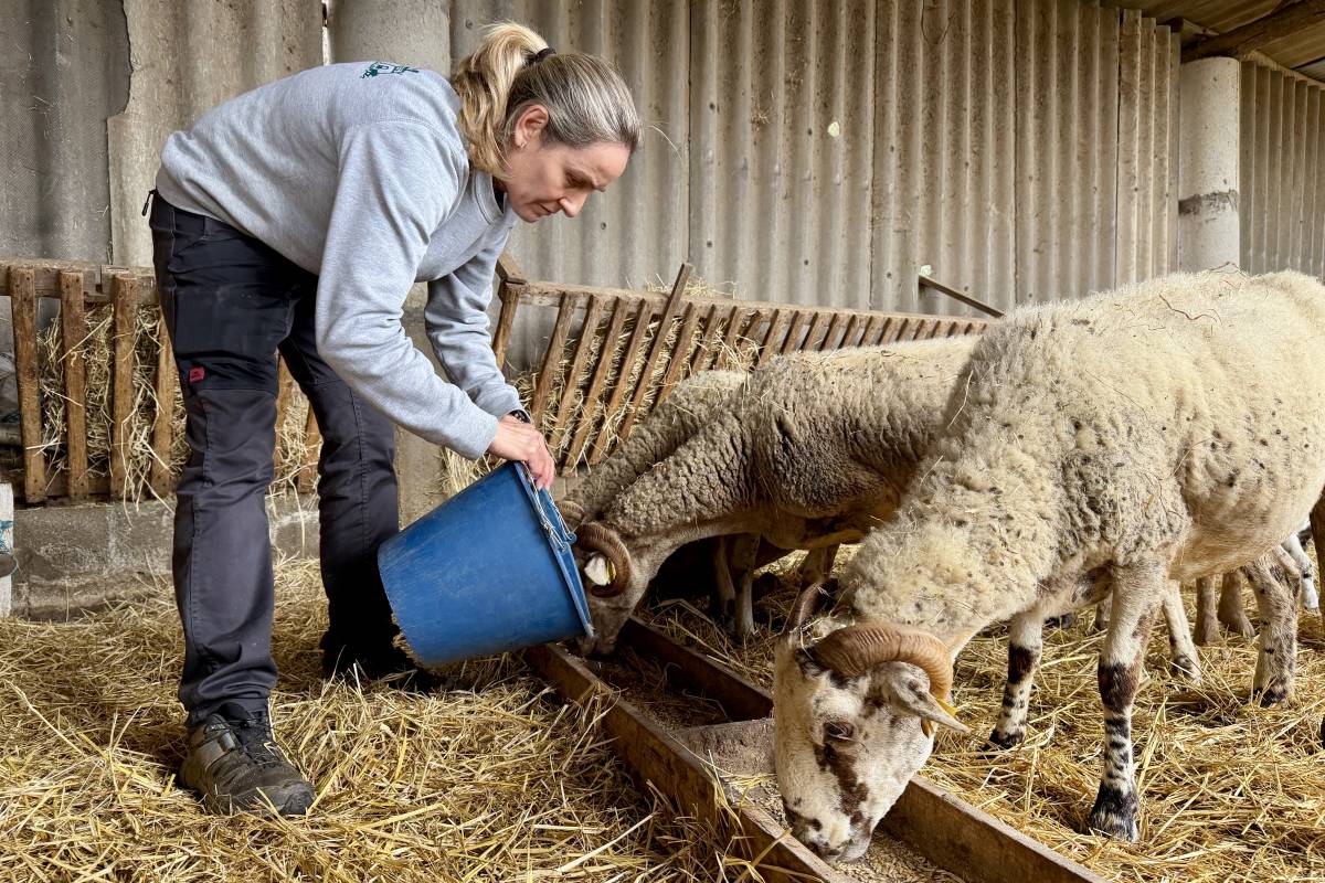 Les ramaderes alcen la veu al Vallès: «Estem trencant estereotips»