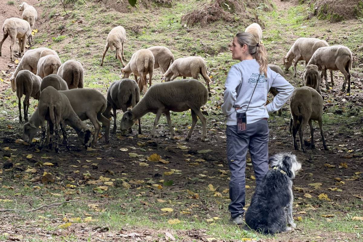 Carme Plana a Vallgorguina, actual presidenta de Ramaderes de Catalunya