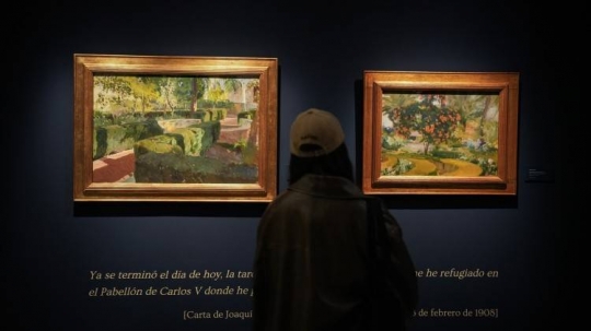 «Contra Sorolla», un llibre sobre l’ús i abús del sorollisme institucional