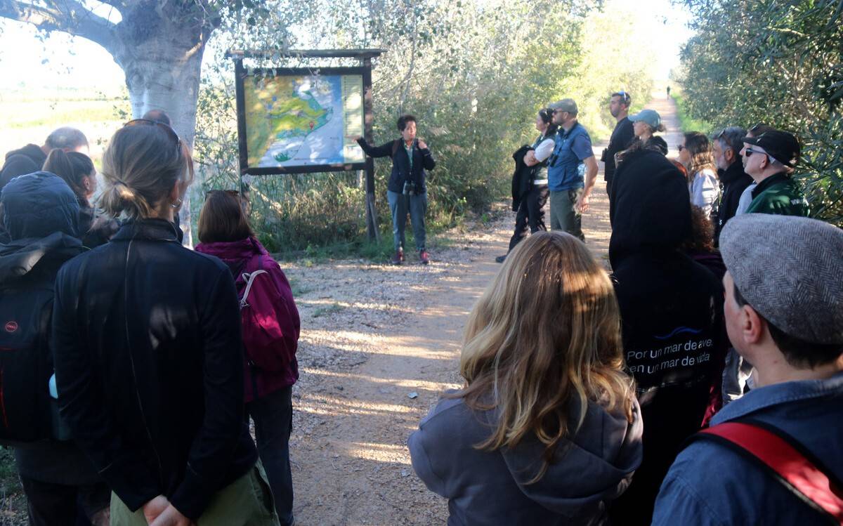 El delta de l’Ebre acull experts internacionals per abordar l’impacte de l’eòlica marina sobre les aus
