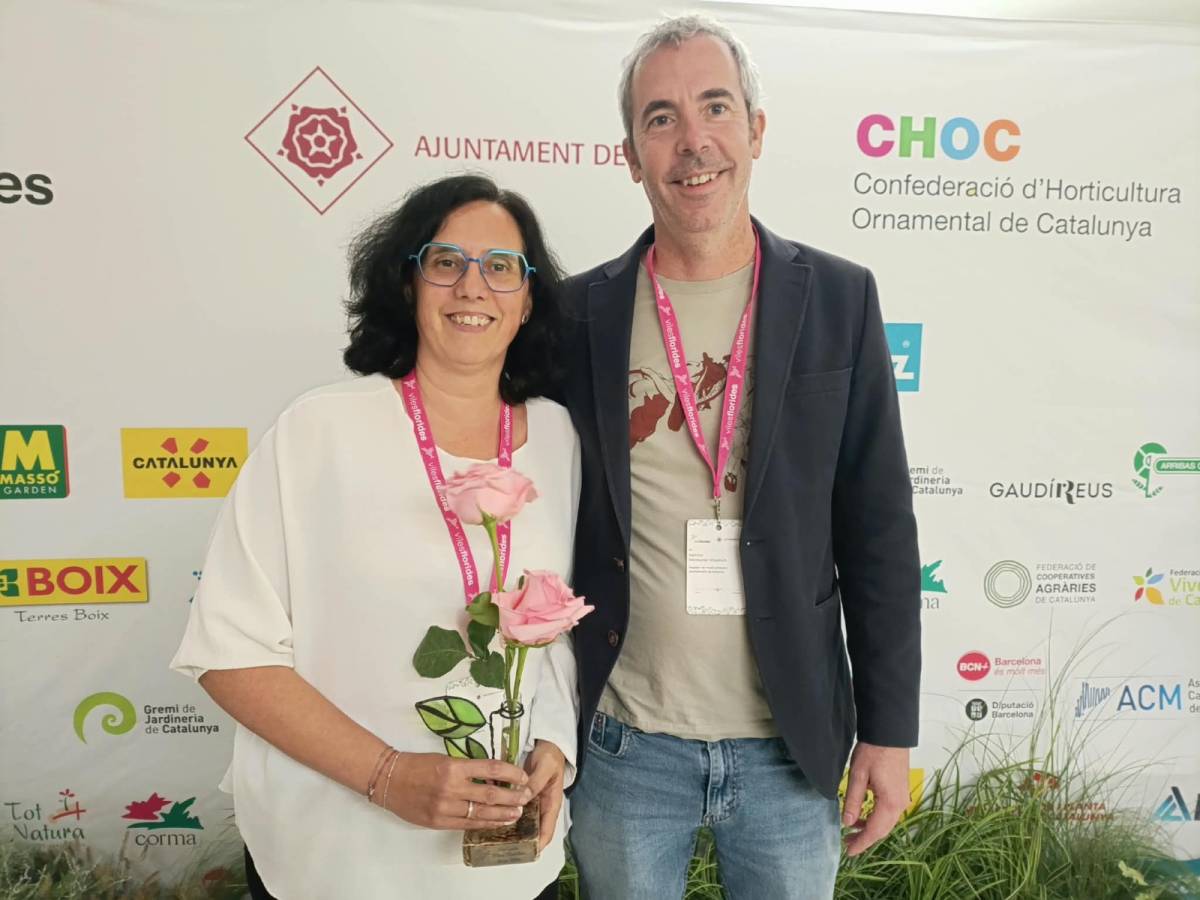 Solsona aconsegueix les 4 flors d`honor - Solsona aconsegueix les 4 flors d`honor