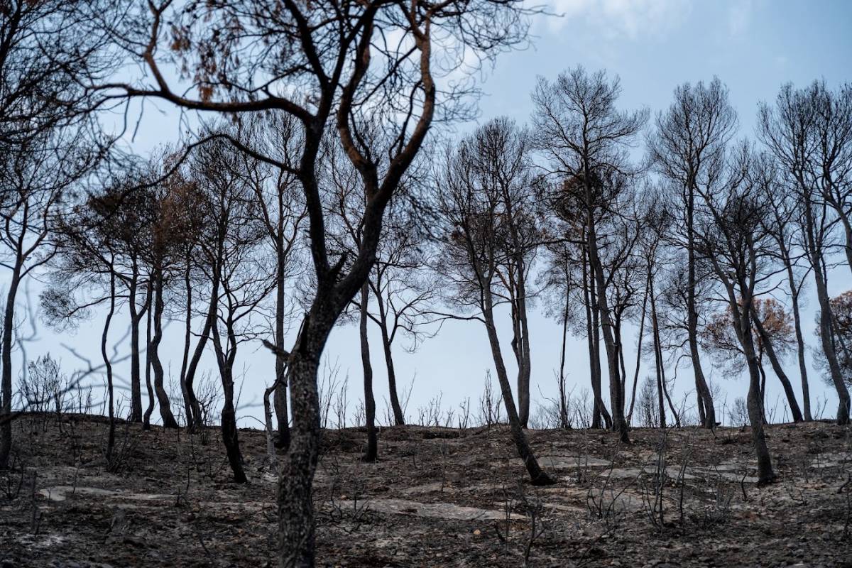 Catalunya i Califòrnia s'assemblen als ulls de la crisi climàtica