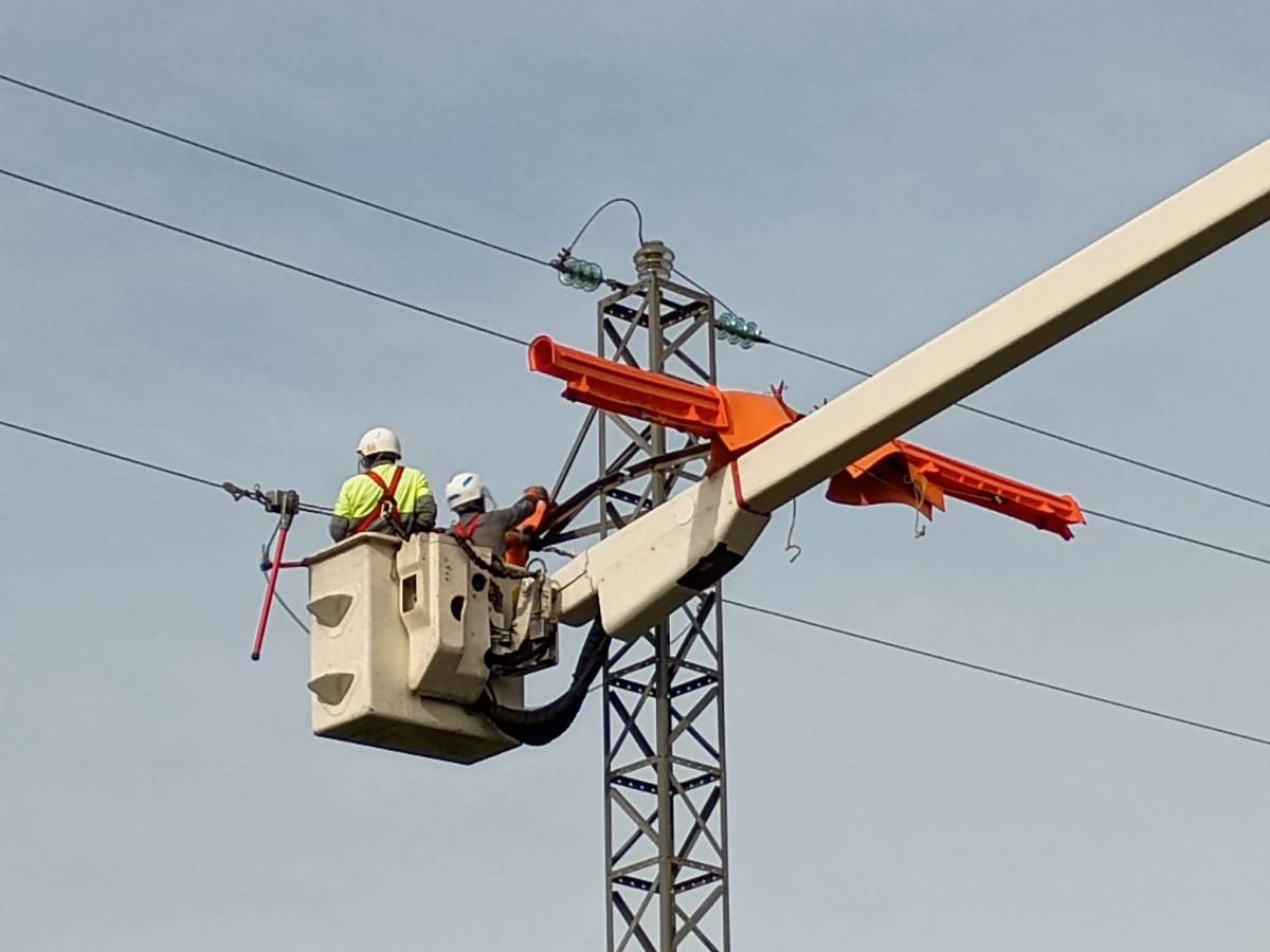 Endesa llança un pla de protecció d'aus a la xarxa elèctrica amb actuacions a Rubí i Castellar