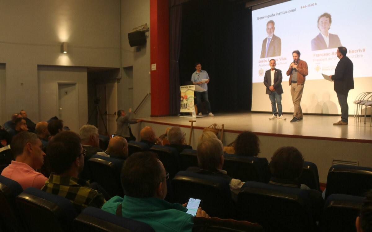 La Ribera d’Ebre busca formar el talent que necessitarà la futura gigafactoria d’IA