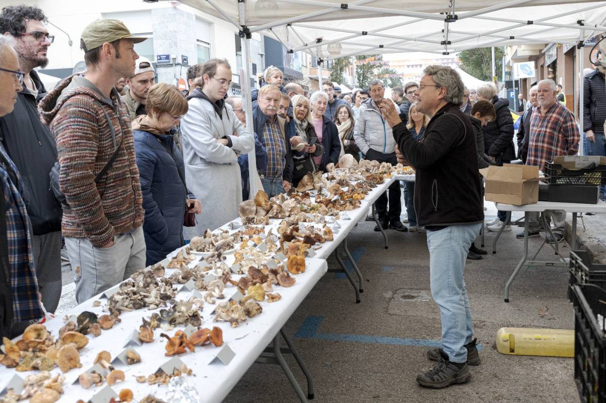 Vint anys de bolets a Sant Pere