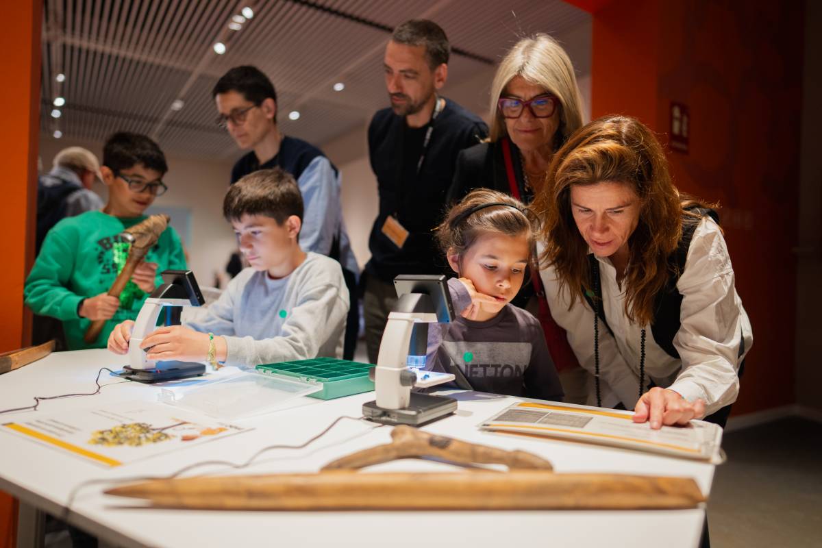 Activitats familiars al Museu d’Arqueologia de Catalunya. - Museu d’Arqueologia de Catalunya Activitats familiars al Museu d’Arqueologia de Catalunya.