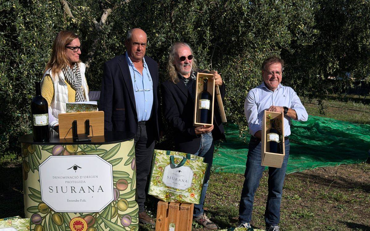 La DOP Siurana preveu una caiguda de fins al 40% en la producció d'oli d'oliva a causa de la sequera