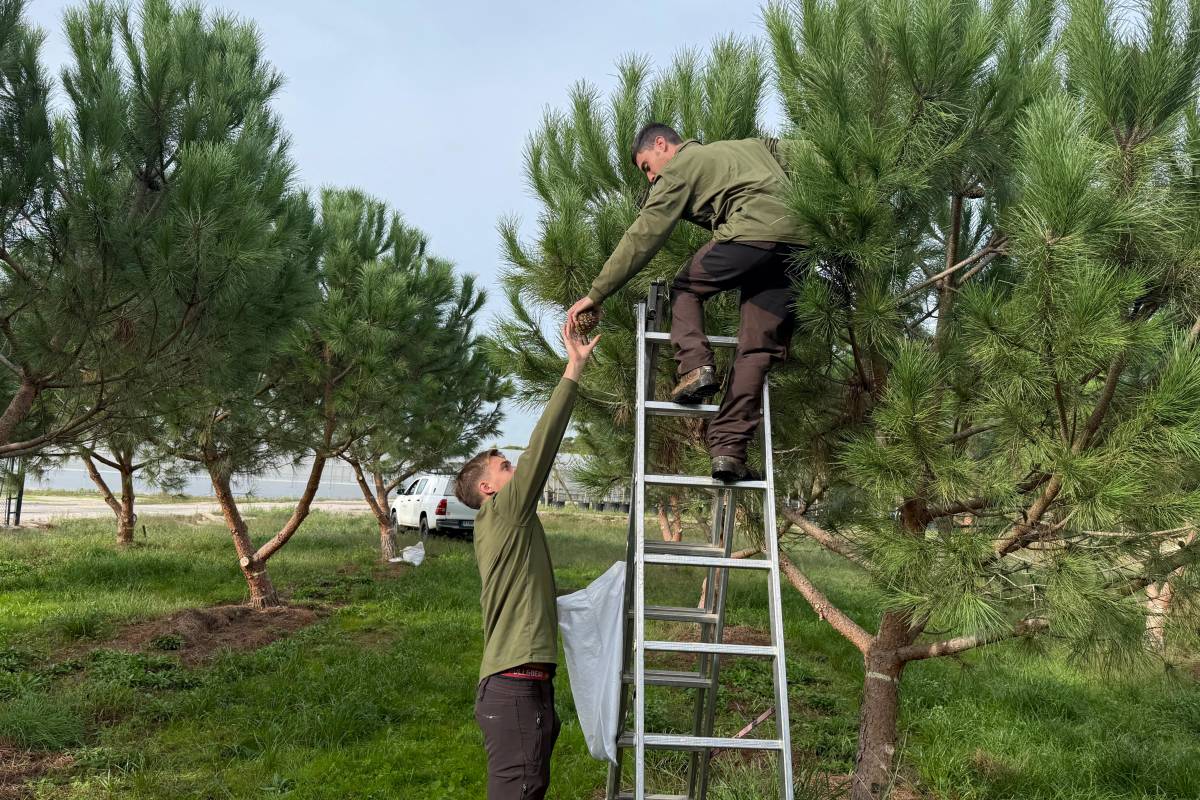 Operaris a la Forestal Catalana de Sant Feliu de Buixalleu. - ACN Operaris a la Forestal Catalana de Sant Feliu de Buixalleu.