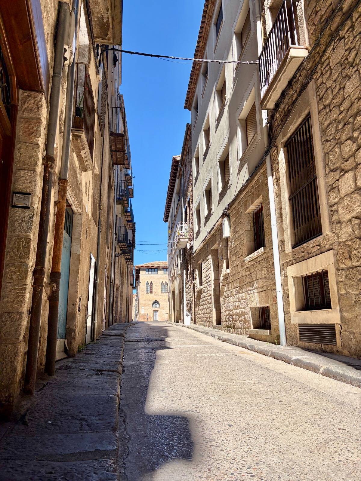 Carrer dels Dominics - Carrer dels Dominics
