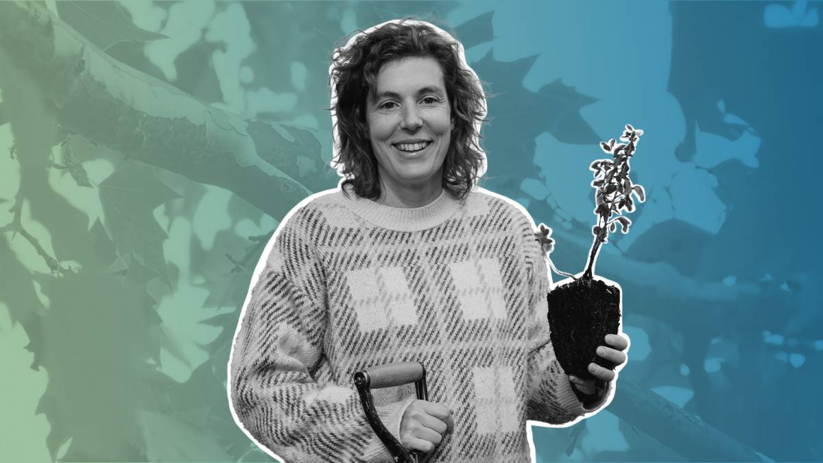 Veure la vegetació com a un indicador de la crisi climàtica