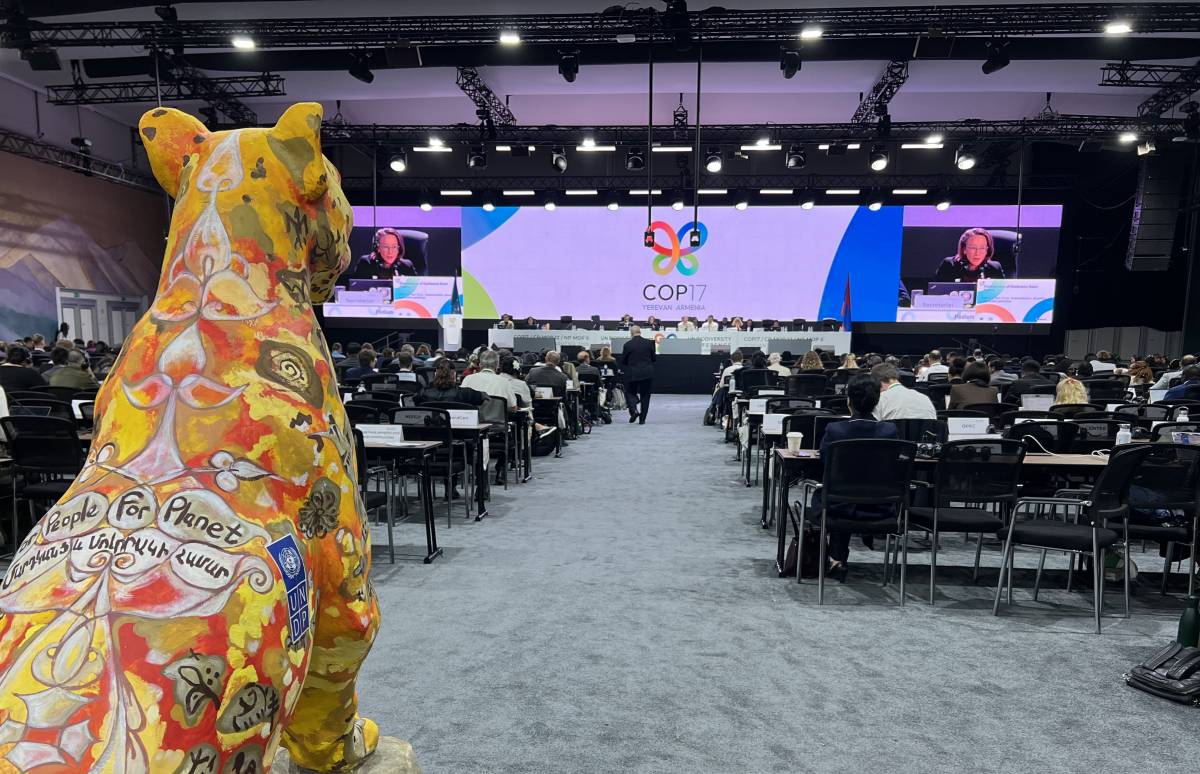 Recta final de la COP17 de biodiversitat: «El llenguatge científic s'està diluint»
