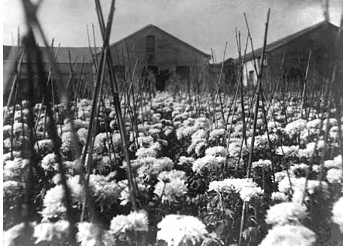 Argemí Garden Center - 