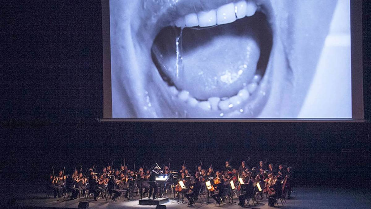 Terror amb una orquestra a Terrassa: 