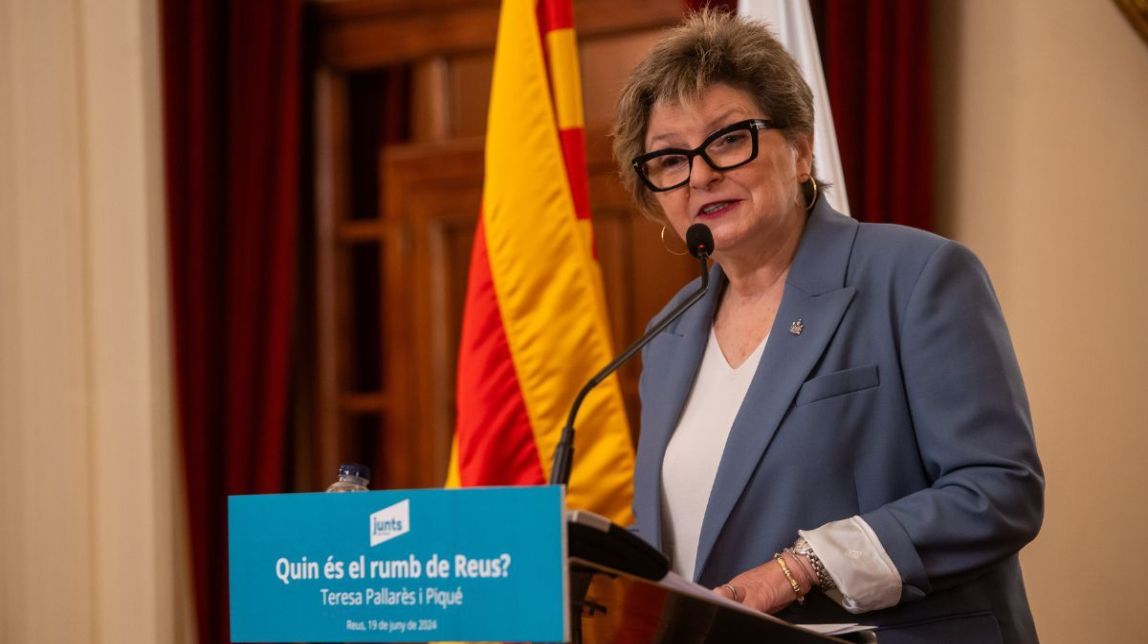 Pallarès apunta discrepàncies internes que perjudiquen l'acció de Govern - Cedida